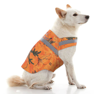 Dog Safety Vest in Xtra Bright Orange Mini